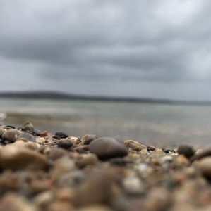 Meet your Posher, Cheyenne